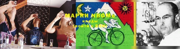 шишки Дмитров
